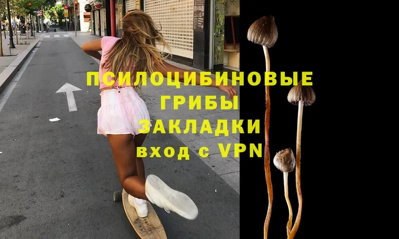 Псилоцибиновые грибы MAGIC MUSHROOMS  Карачаевск 